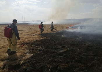 С начала пожароопасного сезона в Приамурье выявили 66 поджигателей