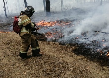 В Благовещенском районе произошло два природных возгорания