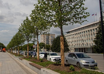 В Приамурье названы победители конкурса грантов губернатора