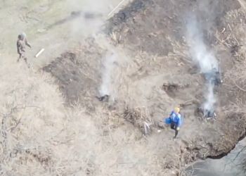 Шесть природных пожаров ликвидировано в Приамурье за сутки