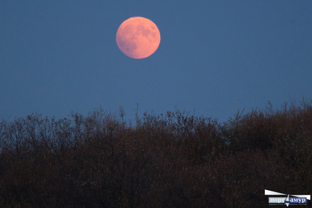 Песни красная луна. Красная Луна. Красная Луна вечером. Луна над рощей. Над рощей красный диск Луны.