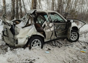 Автомобиль врезался в дерево: в ДТП под Райчихинском погиб человек