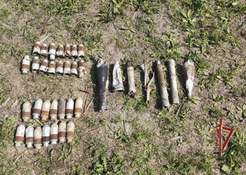 Амурчанин нашел у себя в огороде почти 30 единиц боеприпасов