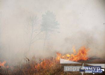 В Приамурье за сутки потушили 36 природных пожаров