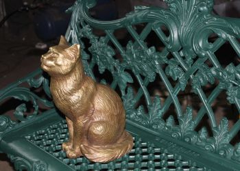 Благовещенцы смогут посидеть на лавке в стиле барокко 19 века с невозмутимым котом