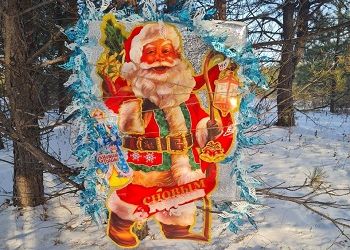 В Шимановске заработала лесная почта Деда Мороза