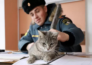 Сотрудники МЧС из города Орел отправили в зону СВО кошку Марусю