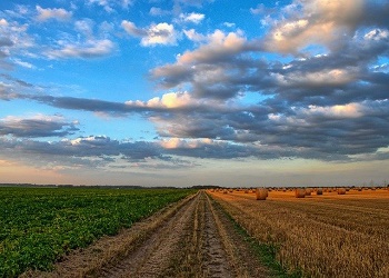 Более 8 тысяч «дальневосточных гектаров» оформили в Амурской области