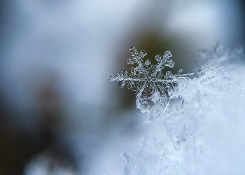 В Приамурье — слабый снег и умеренный ветер 