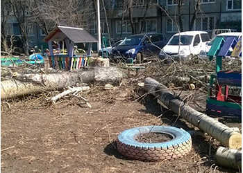 В Благовещенске дерево упало на детскую площадку