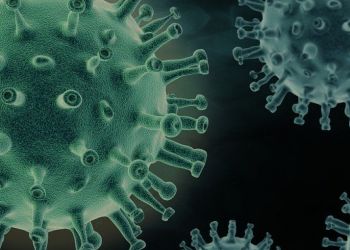 Зафиксировали пять новых случаев коронавируса в Сахалинской области 