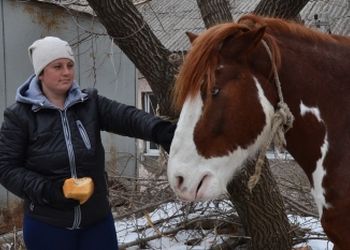 Во Владивостоке разразился скандал из-за коня, живущего на улице 
