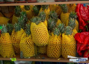 Компании в Хэйхэ увеличили экспорт овощей и фруктов в Россию