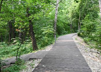 Новый маршрут здоровья открыли в Первомайском парке Благовещенска