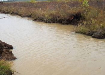 Золотодобытчик заплатил крупный штраф за загрязнение ручья в Зейском районе
