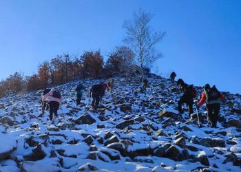 Детокс-поход, экстрим-прогулку и снежный треккинг предлагают амурчанам в новогодние выходные