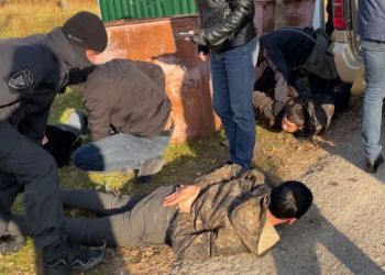 Нелегальные мигранты прятались на кладбище в Благовещенске