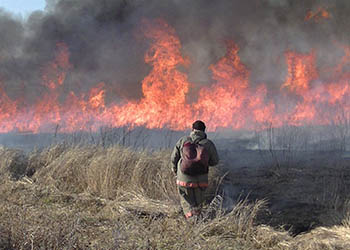Двое подростков в Приамурье от скуки едва не спалили поселок