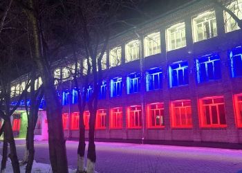 Школа в Свободном засветилась российским триколором
