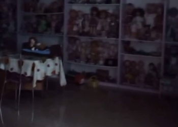 В Благовещенске затопило музейную комнату «Здесь живут игрушки Советского Союза»
