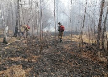 В Приамурье тушат 15 природных пожаров