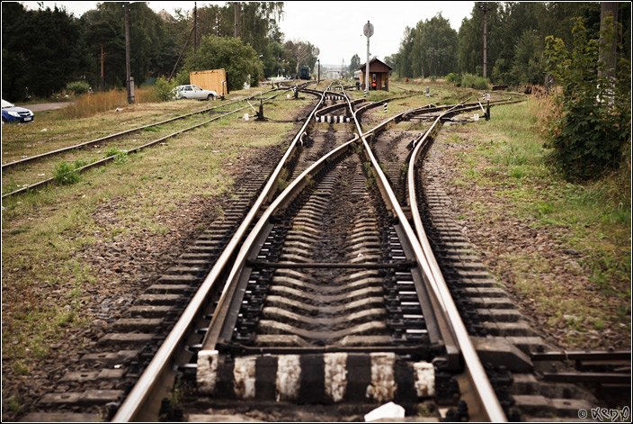 «В случае отмены поездов без транспортного сообщения останутся 500 тысяч амурчан»