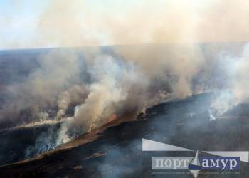 К тушению природных пожаров в Приамурье привлекли почти 400 человек