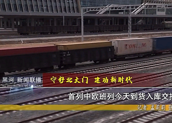 Китайский контейнерный поезд впервые доставил груз из России в Хэйхэ
