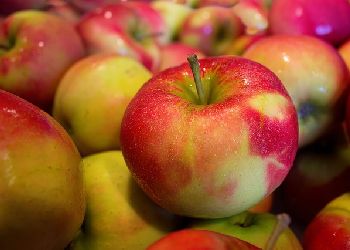 Яблоки и груши из Китая начнут вновь завозить в Приамурье