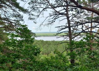 В Приамурье местами пройдут ливни