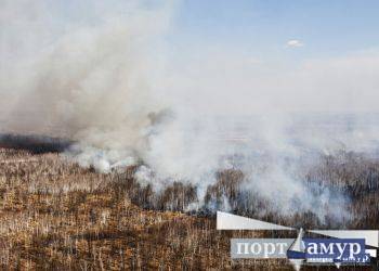 В Приамурье за восемь месяцев «Лесохранитель» зафиксировал почти 1000 возгораний