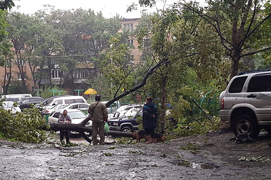 В Интернете появились фото и видео тайфуна «Гони», разгулявшегося в Приморье