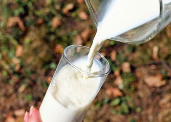 Фантомный цех по производству «молочки» закрыли в Приамурье