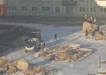 Соцсети: в Шимановске дети кидали в собак снежки и камни