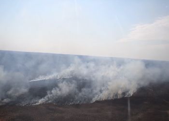Дым от пожаров в Китае продолжает затягивать Приамурье