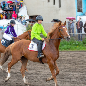 Чемпионат Амурской области по конному спорту