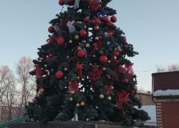В Серышеве вандалы испортили наряд главной новогодней елки