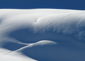 На Камчатке ищут человека под снегом 