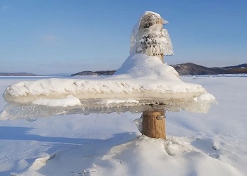 В Амурской области появился снежный «крокодил»