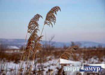 Морозы в Приамурье вновь опустятся ниже -40 градусов