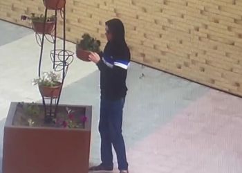Власти Тынды просят помочь найти похитителя цветов
