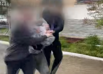Полиция показала кадры задержания мужчины, напавшего с битой на девочку в Благовещенске