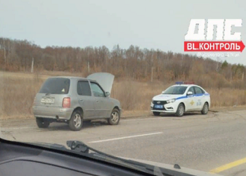 В ДТП на Новотроицком шоссе в Приамурье люди не пострадали