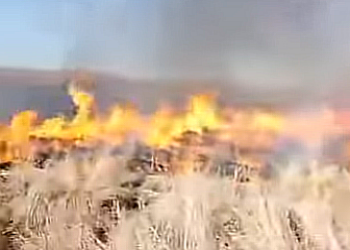В Приамурье в районе Сергеевки начался ландшафтный пожар