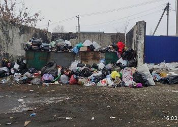 В Приамурье компанию, вывозившую мусор, лишили статуса регоператора
