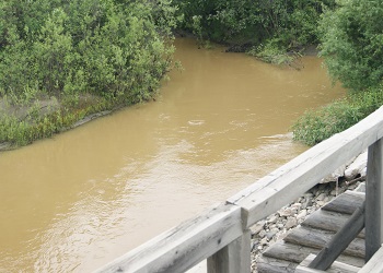 Золотодобытчики причинили ущерб амурской реке более чем на 10 миллионов