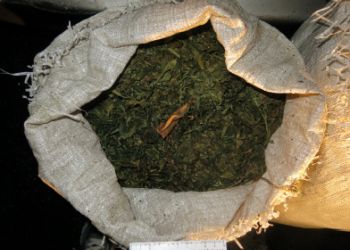 В Благовещенском округе «поймали» мужчину с мешком марихуаны