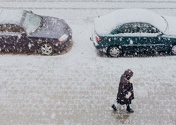 Последний рабочий день недели в Приамурье будет снежным