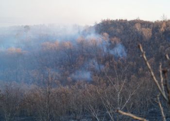 Несколько районов Приамурья оказались в аутсайдерах по подготовке к пожароопасному периоду