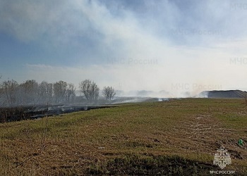 Шесть возгораний сухой травы зарегистрировано в Приамурье за сутки
